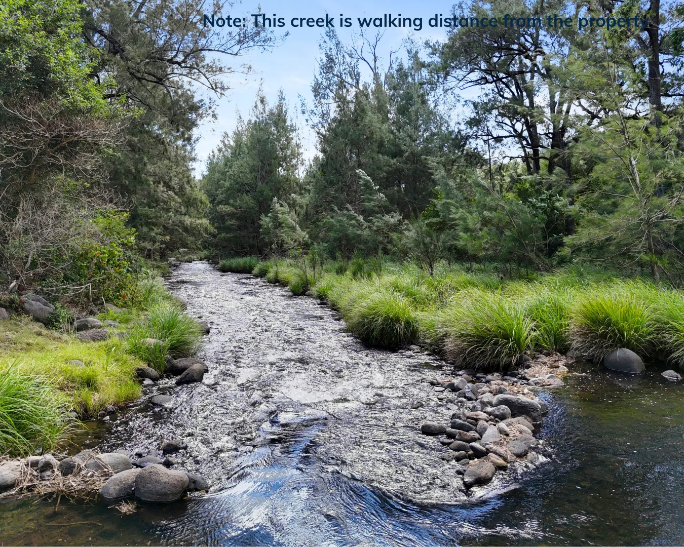 Additional image 21 of 2 Mount Gipps, Mount Gipps QLD 4285