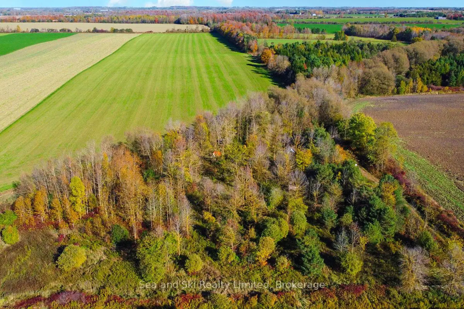 Additional image 3 of 31313 Grey Road 14 Road