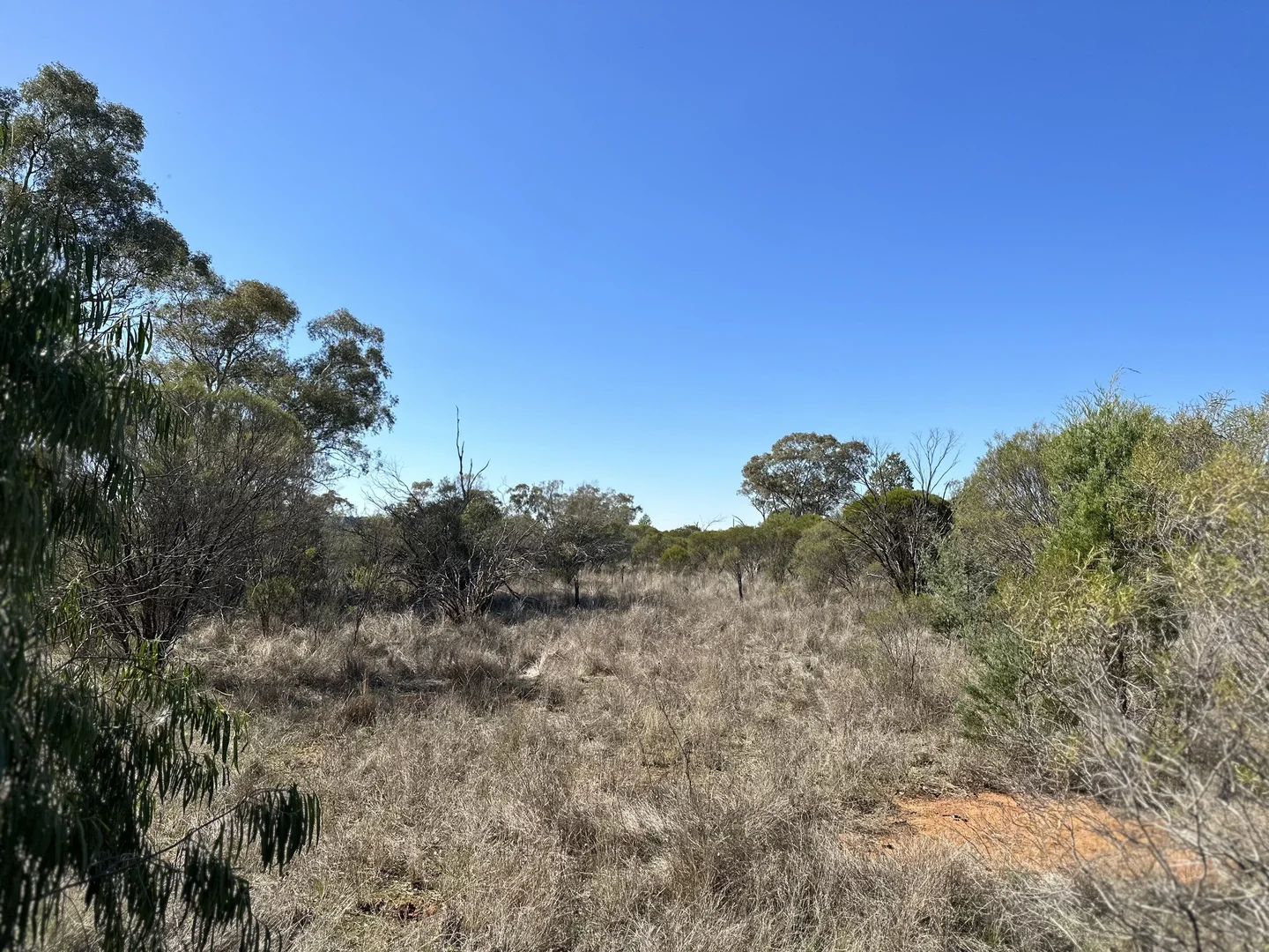 Additional image 9 of 22 Balowra Road, Nymagee NSW 2831