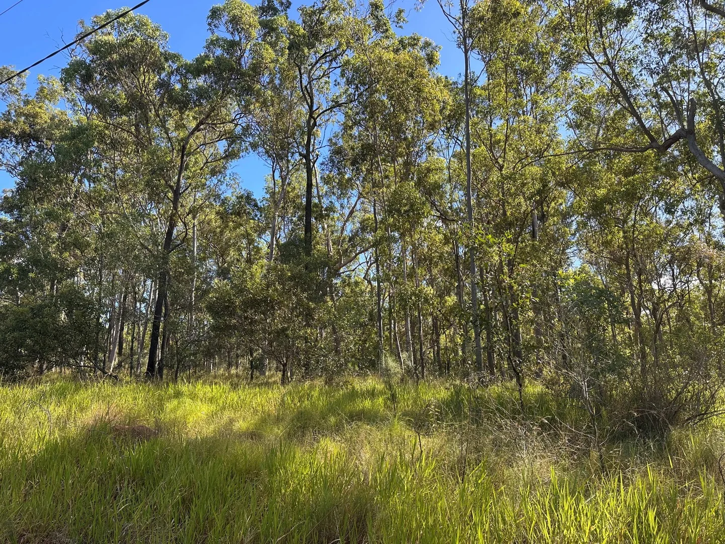 Additional image 2 of Lot 753 Arbortwenty eight, Glenwood QLD 4570