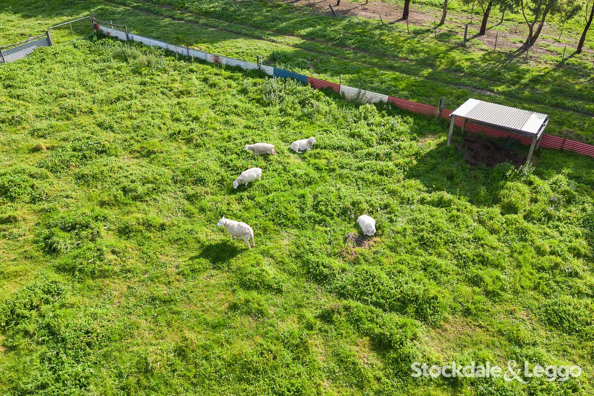 Additional image 29 of Pearsondale VIC 3851