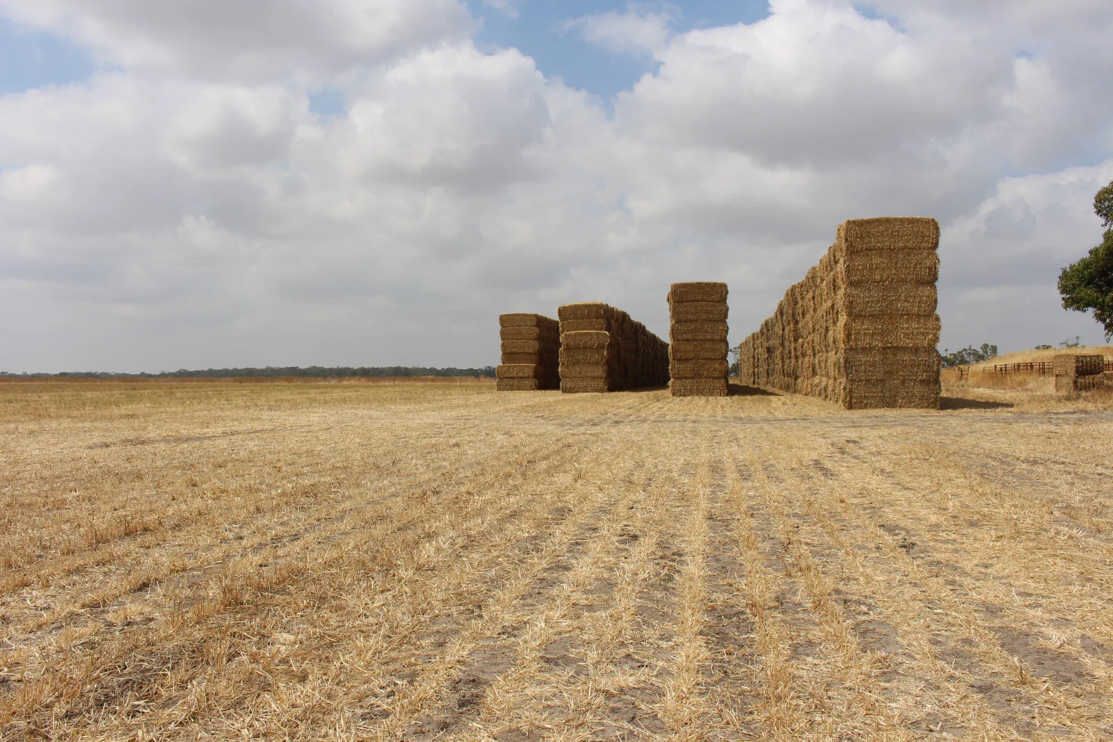 Additional image 2 of 1427 Naracoorte Road, Bordertown SA 5268