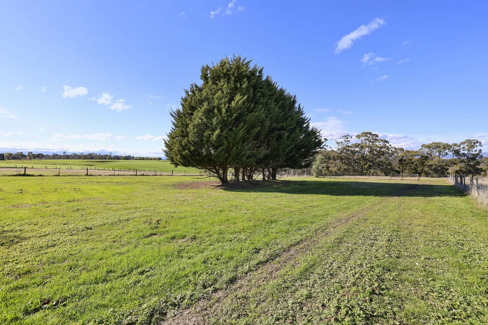 Additional image 23 of 516 Darnum-Shady Creek Road, Darnum VIC 3822