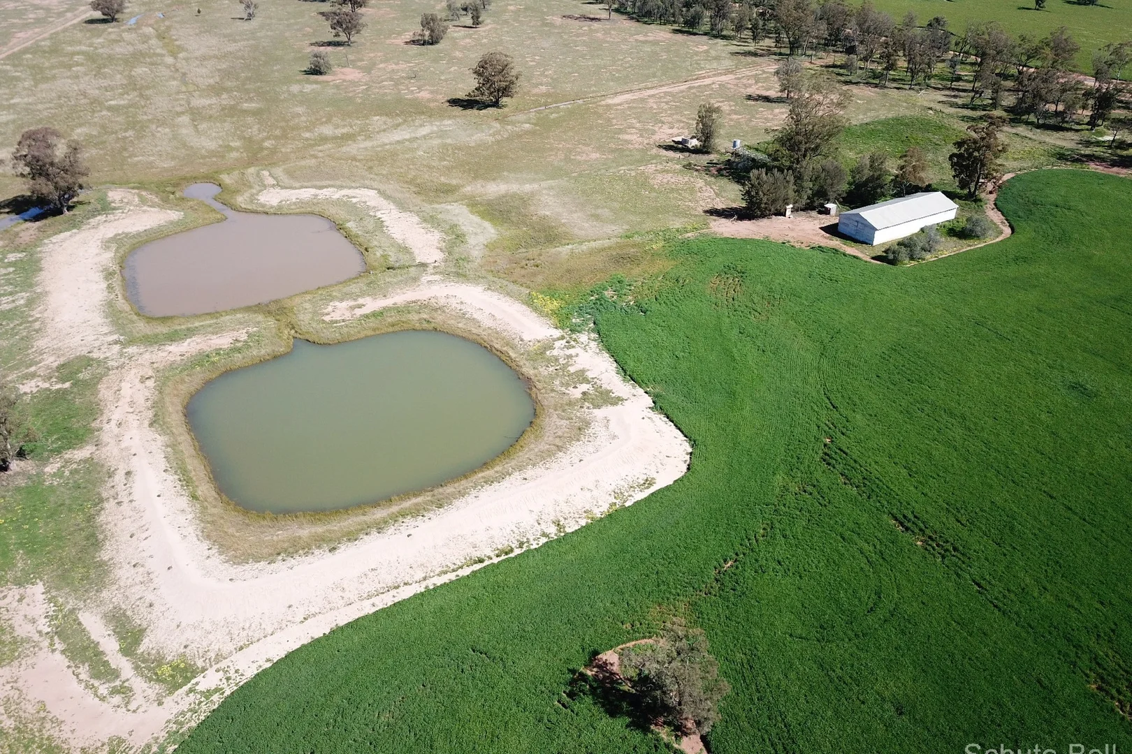 Additional image 10 of 195 Curra Lane, Peak Hill NSW 2869