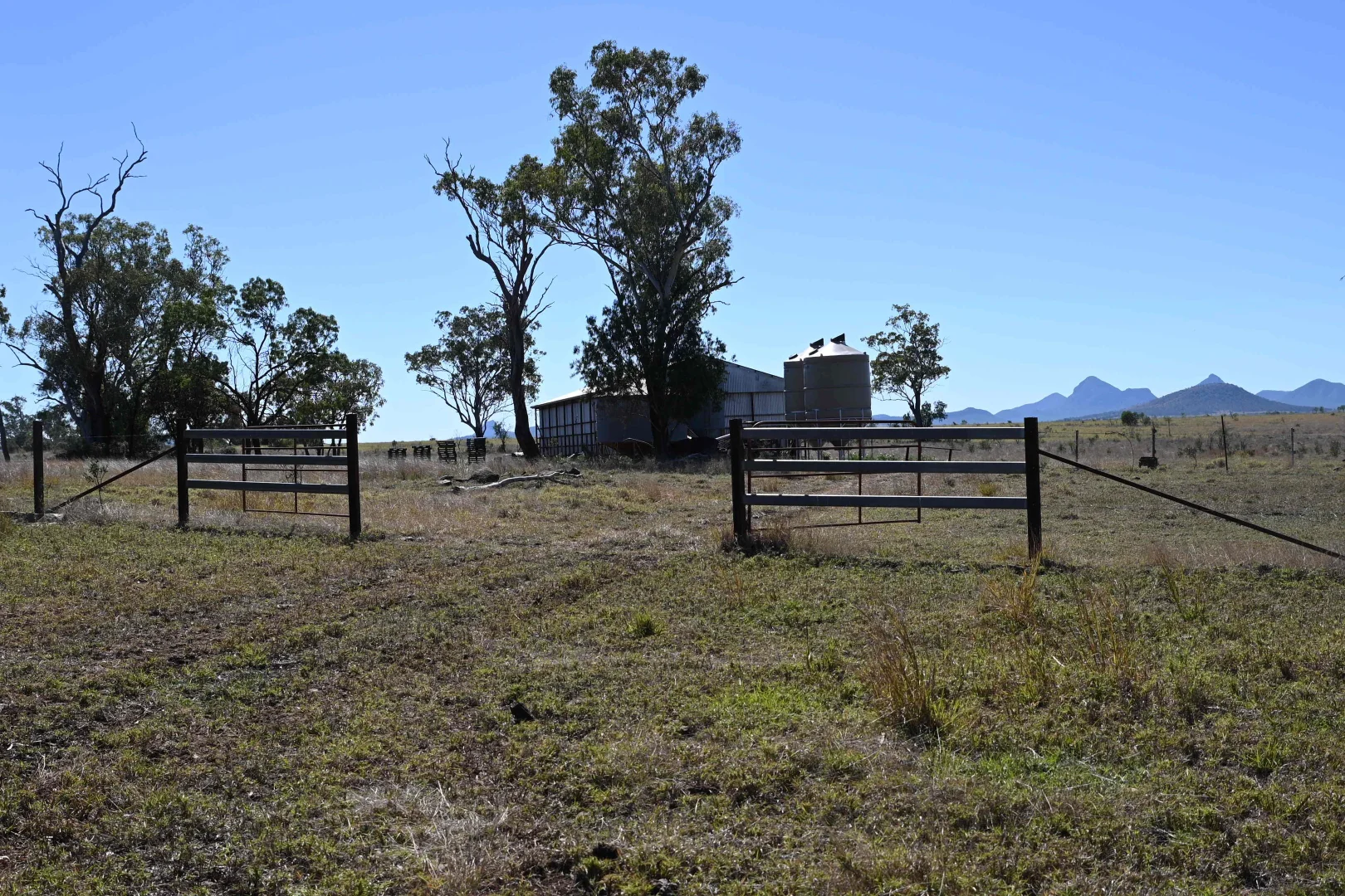 Additional image 25 of 102 Lowestoff Road, Capella QLD 4723