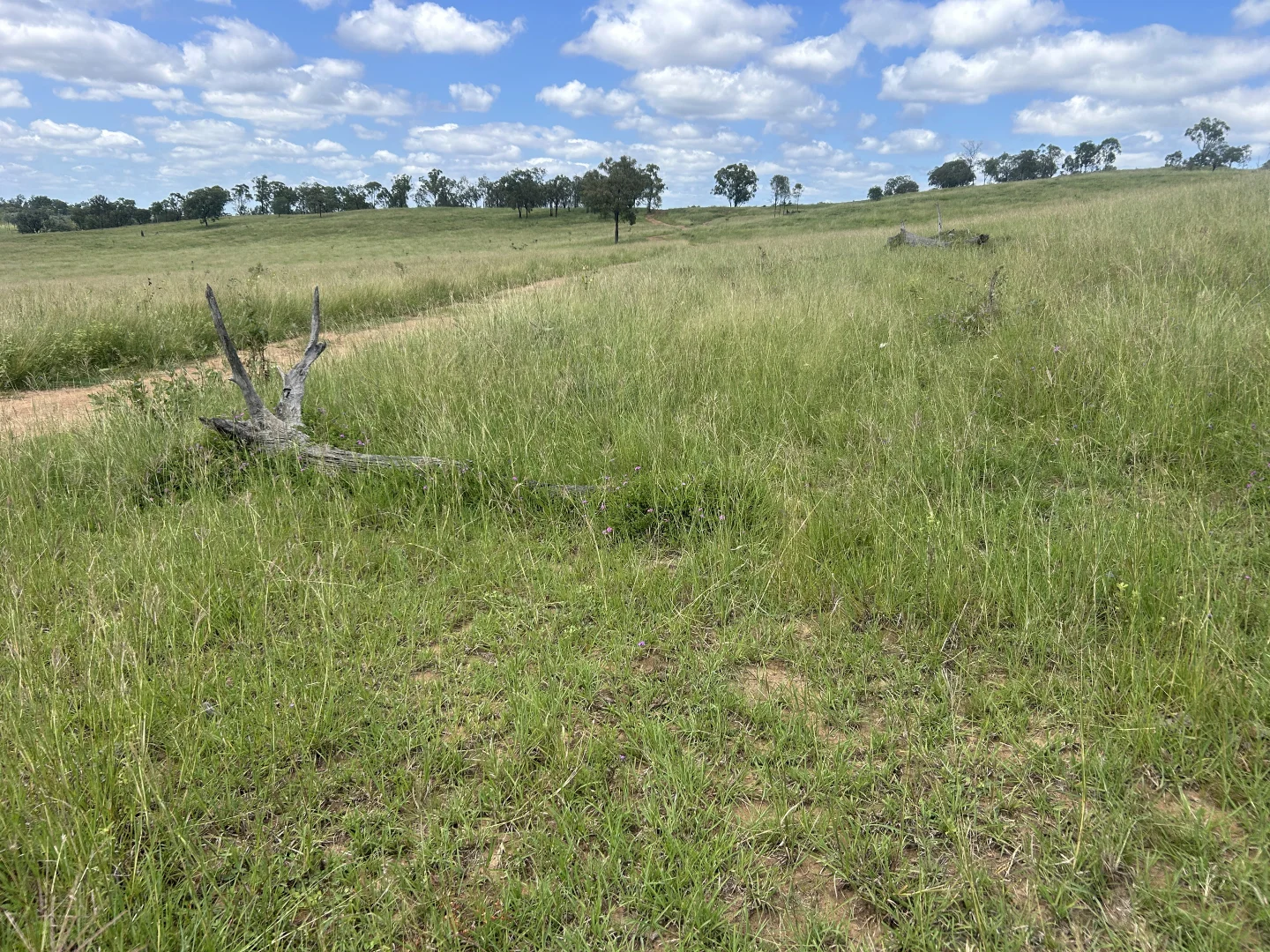 Additional image 13 of 789 Coppin Rd, Monto QLD 4630