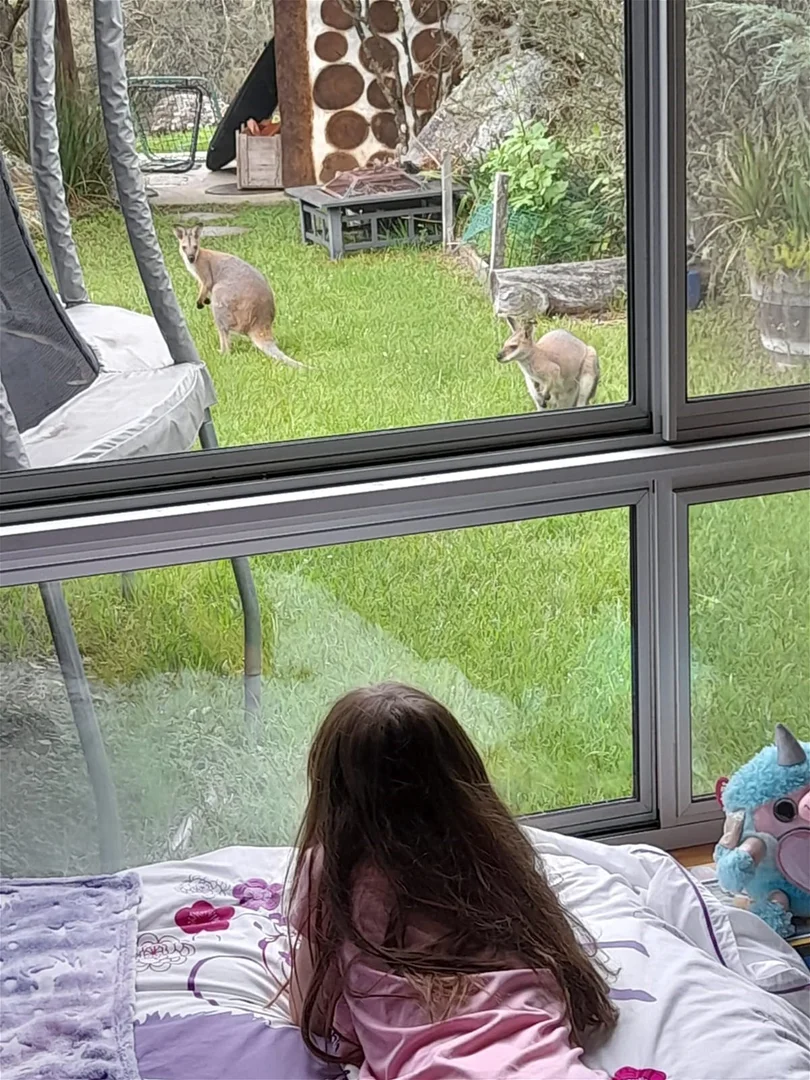 Additional image 14 of Dorrigo NSW 2453