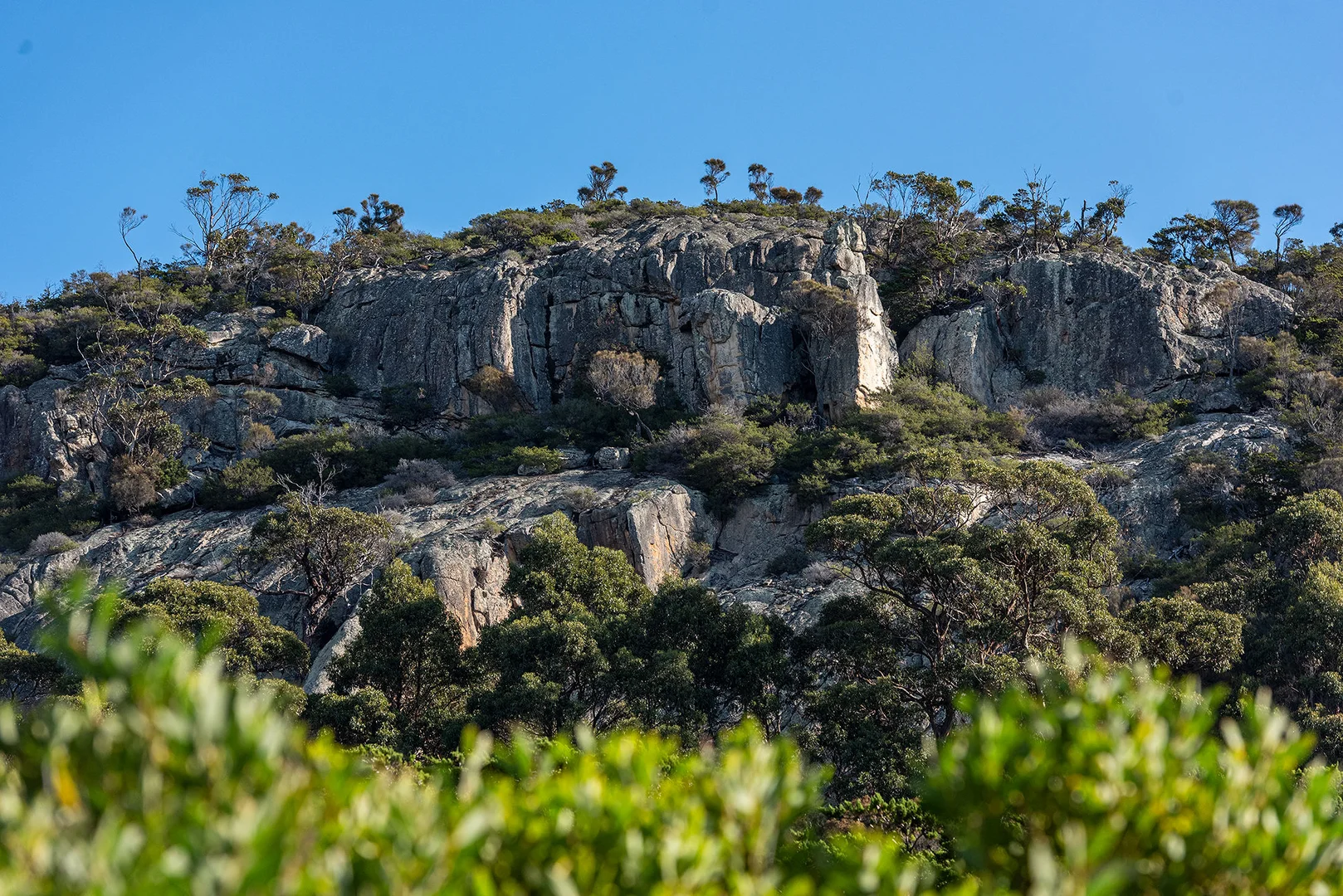 Additional image 24 of 554 Killiecrankie Road, Killiecrankie TAS 7255