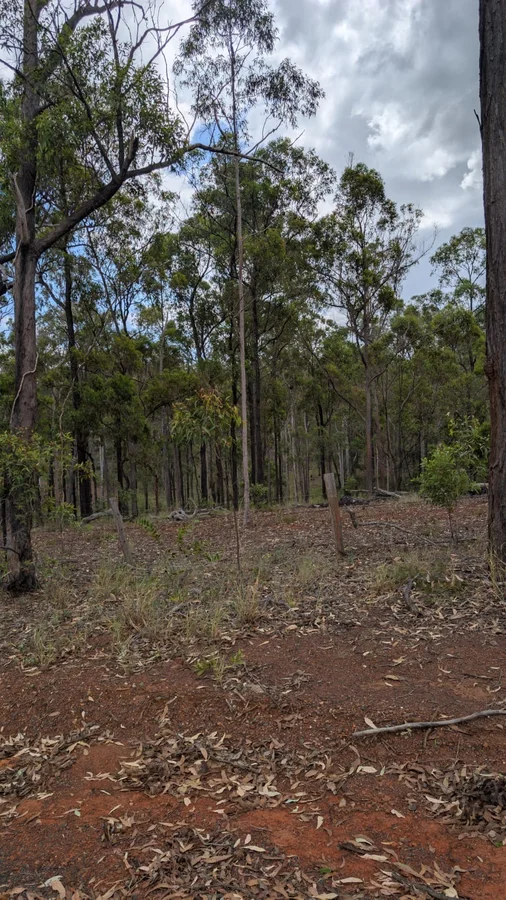 Additional image 7 of 0 Barrs Road, Bucca QLD 4670