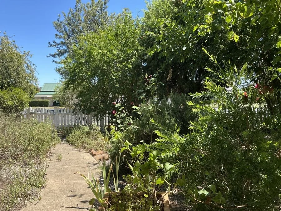 Additional image 20 of 112 Dalgarno, Coonabarabran NSW 2357