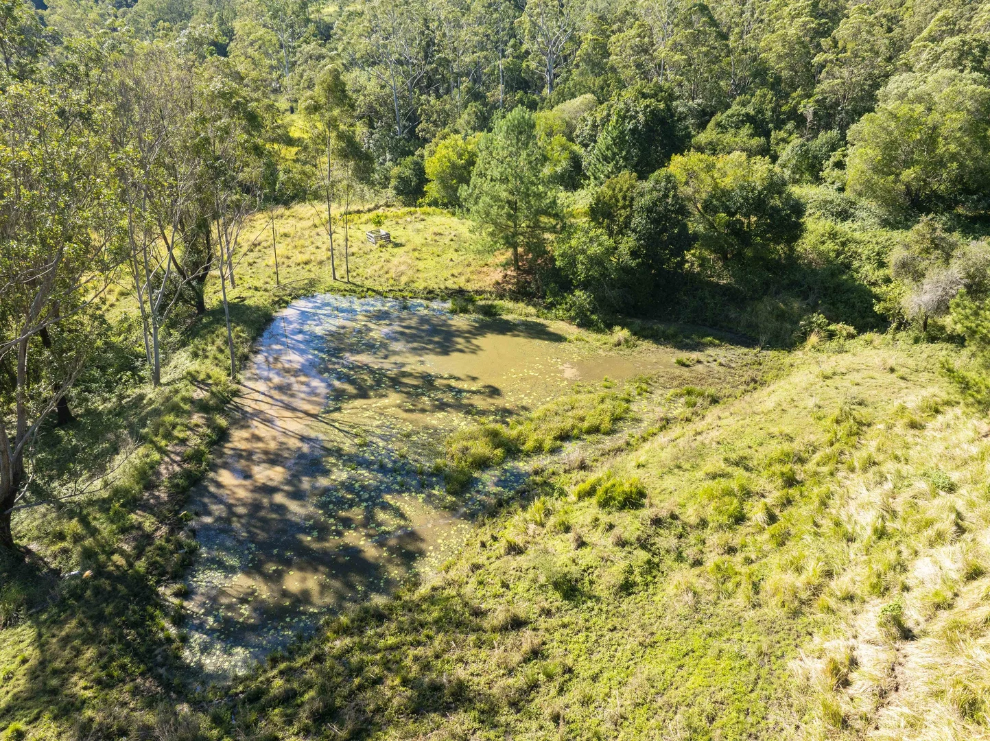 Additional image 36 of 1122 Nimbin Road, Koonorigan NSW 2480