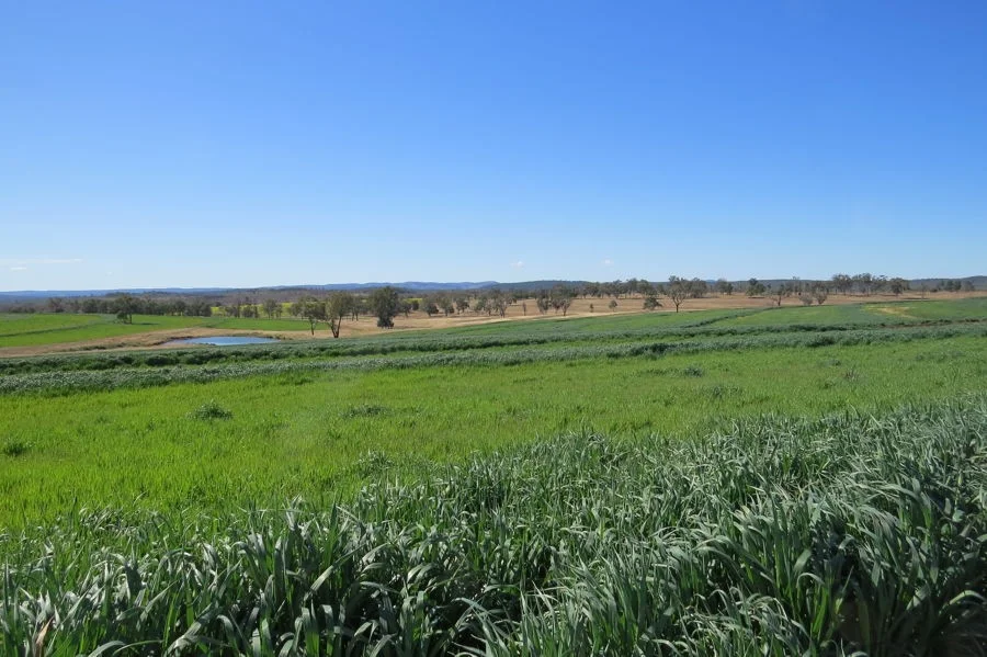 Additional image 9 of 329 Pickfords Road, Yetman NSW 2410