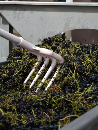 Additional image 41 of Harrisons Road, Dromana VIC 3936