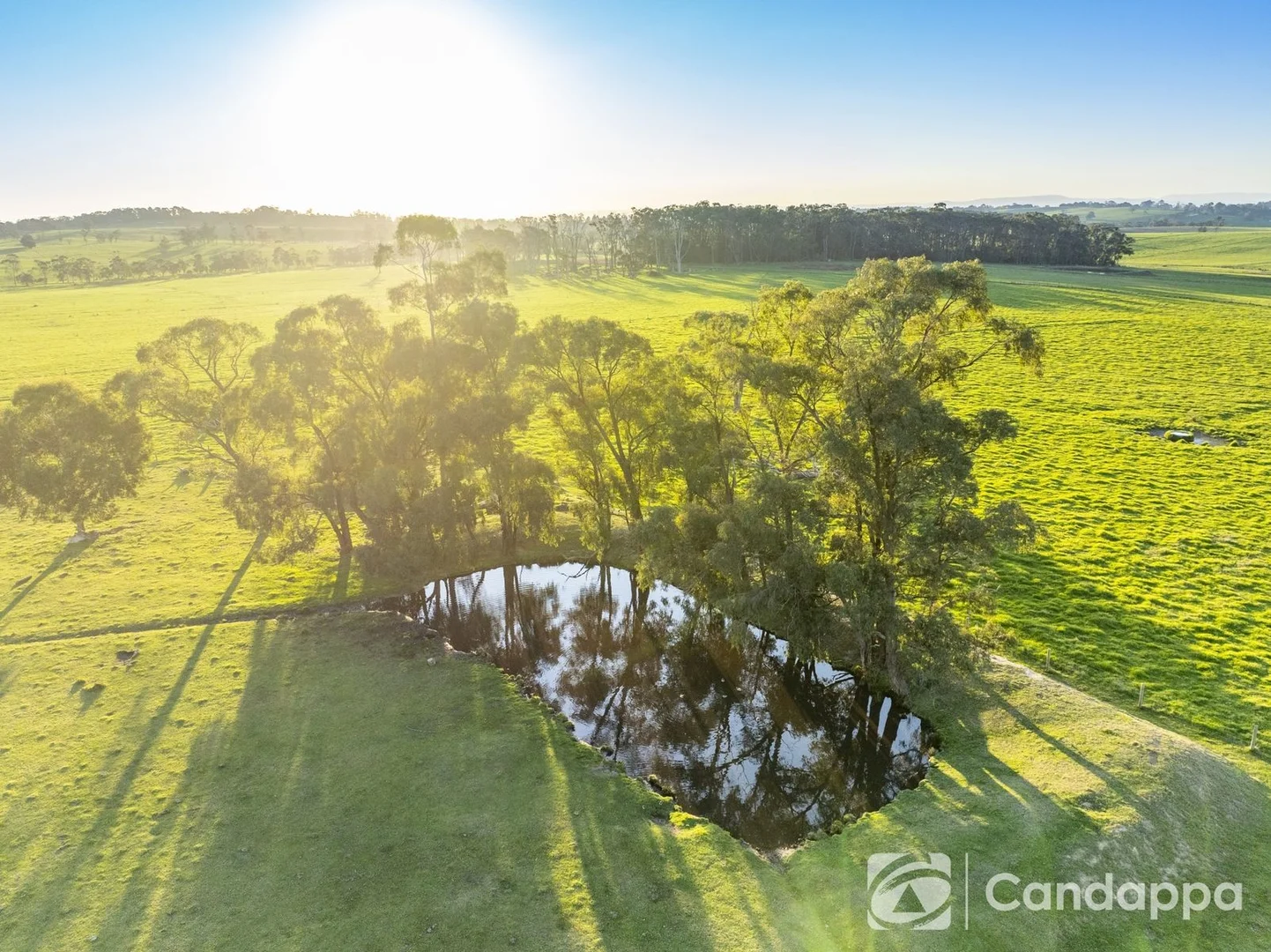 Additional image 6 of 590 Drouin-Korumburra Road, Drouin South VIC 3818
