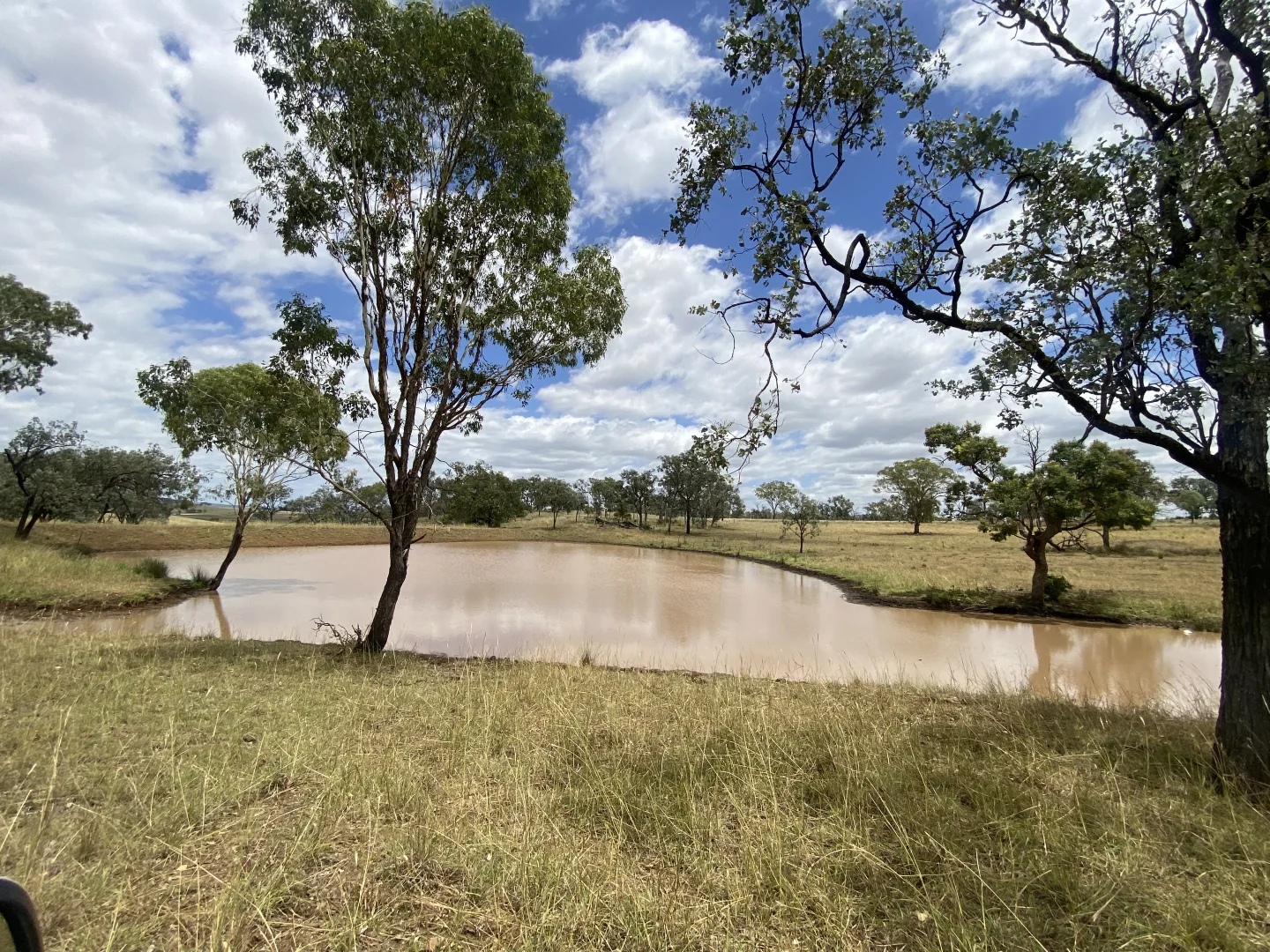 Additional image 6 of Lot 50 Rosenberger Road, Wyreema QLD 4352