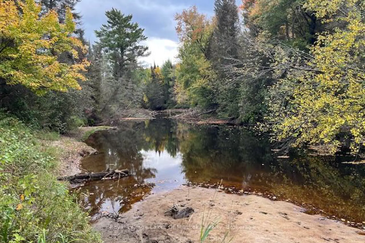 Additional image 3 of 121 Proudfoot Road