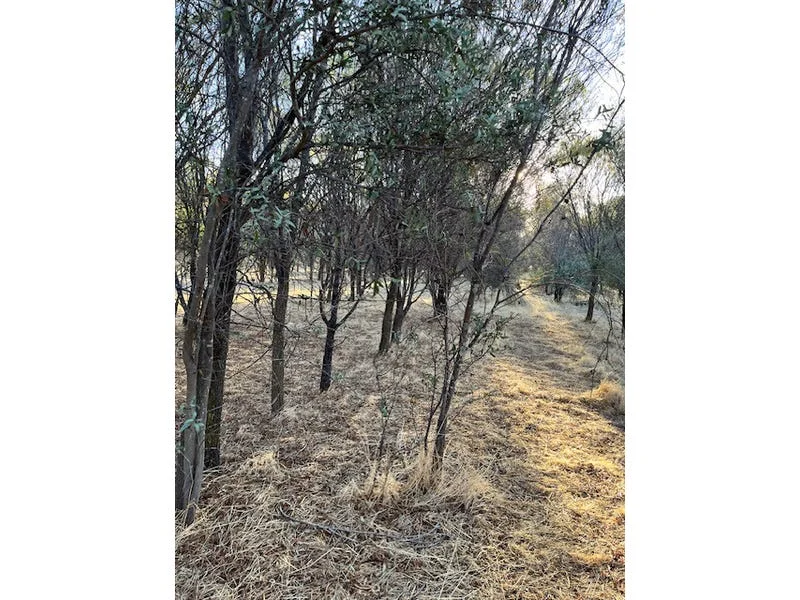 Additional image 13 of 964 Dobaderry Road, Beverley WA 6304