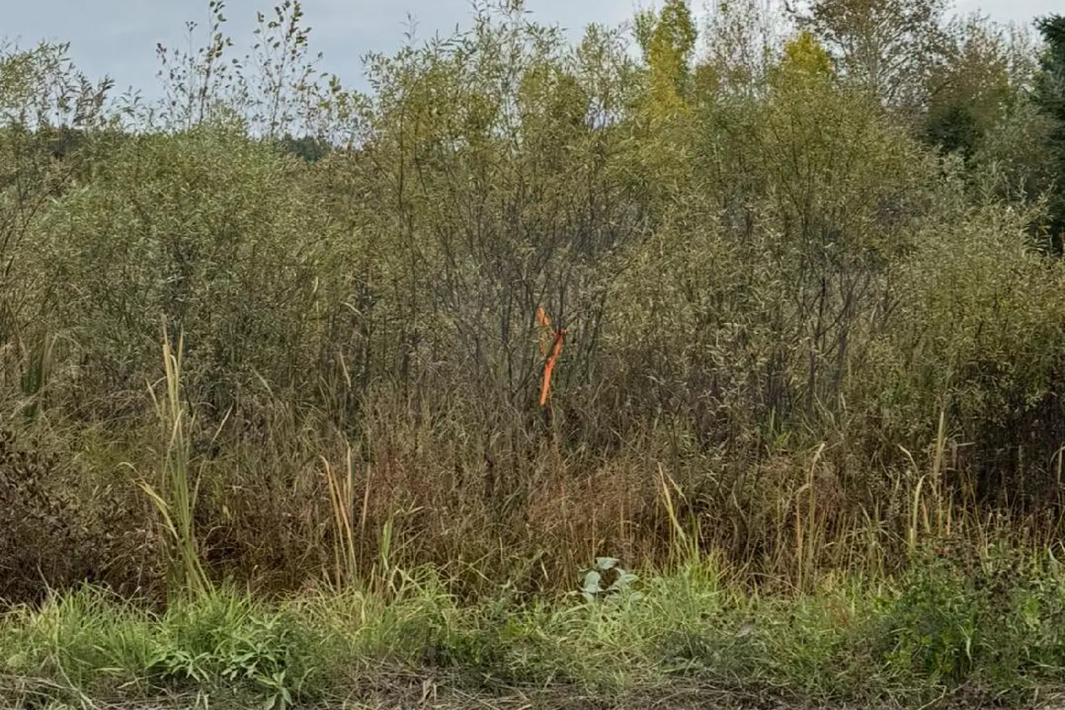 Additional image 11 of Pt 3&4 Levert Drive
