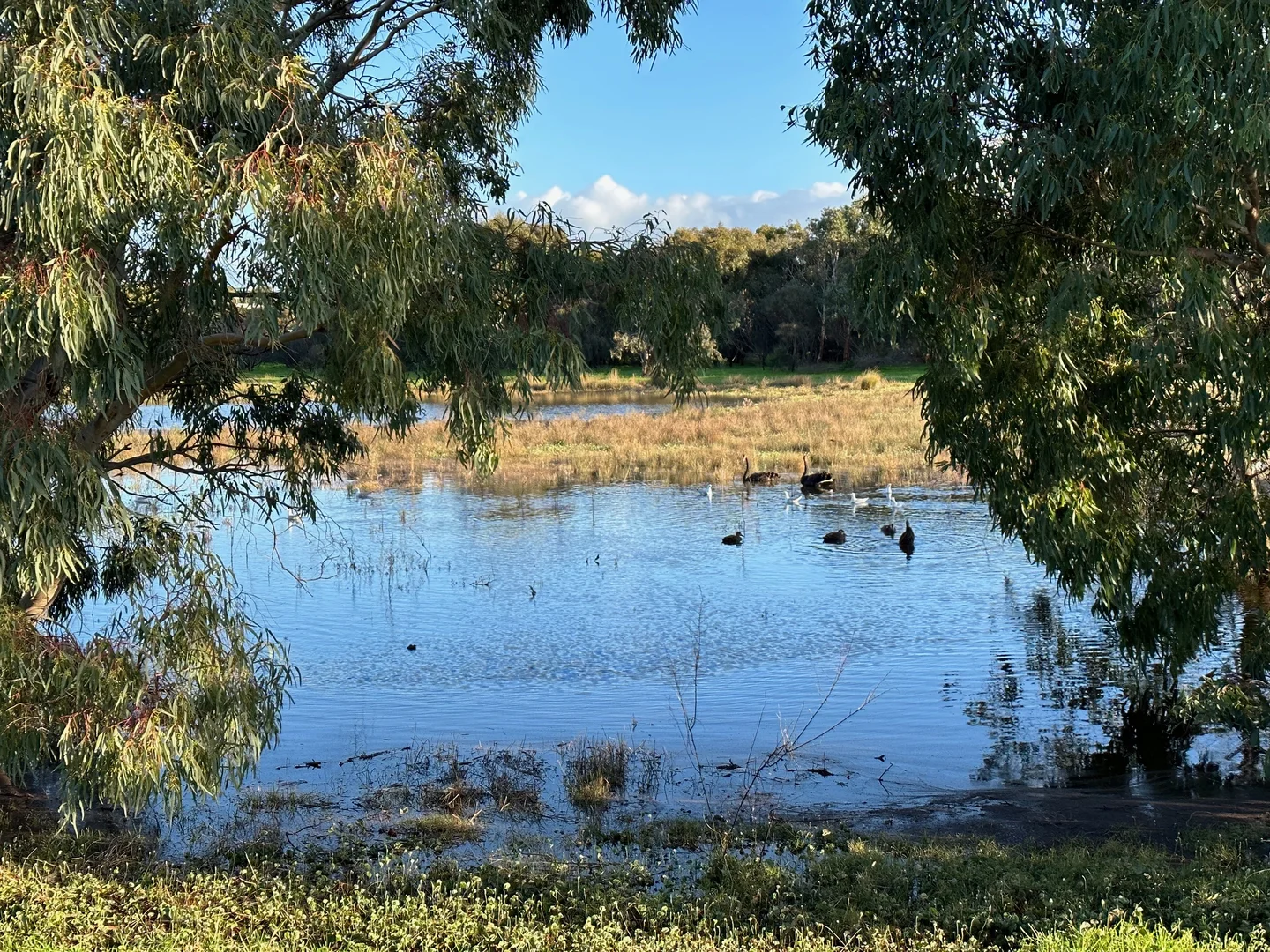 Additional image 14 of 14 Sun Orchid Drive, Chiton SA 5211