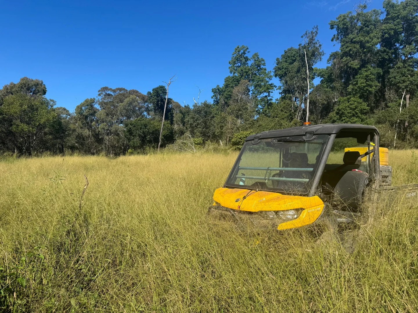 Additional image 7 of Caffey QLD 4343