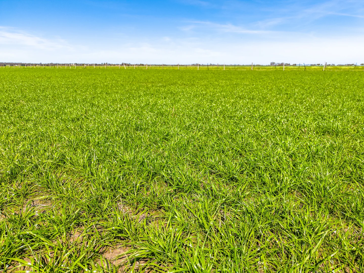 Additional image 18 of 641 Minnie Crowe Road, Avenue Range SA 5273