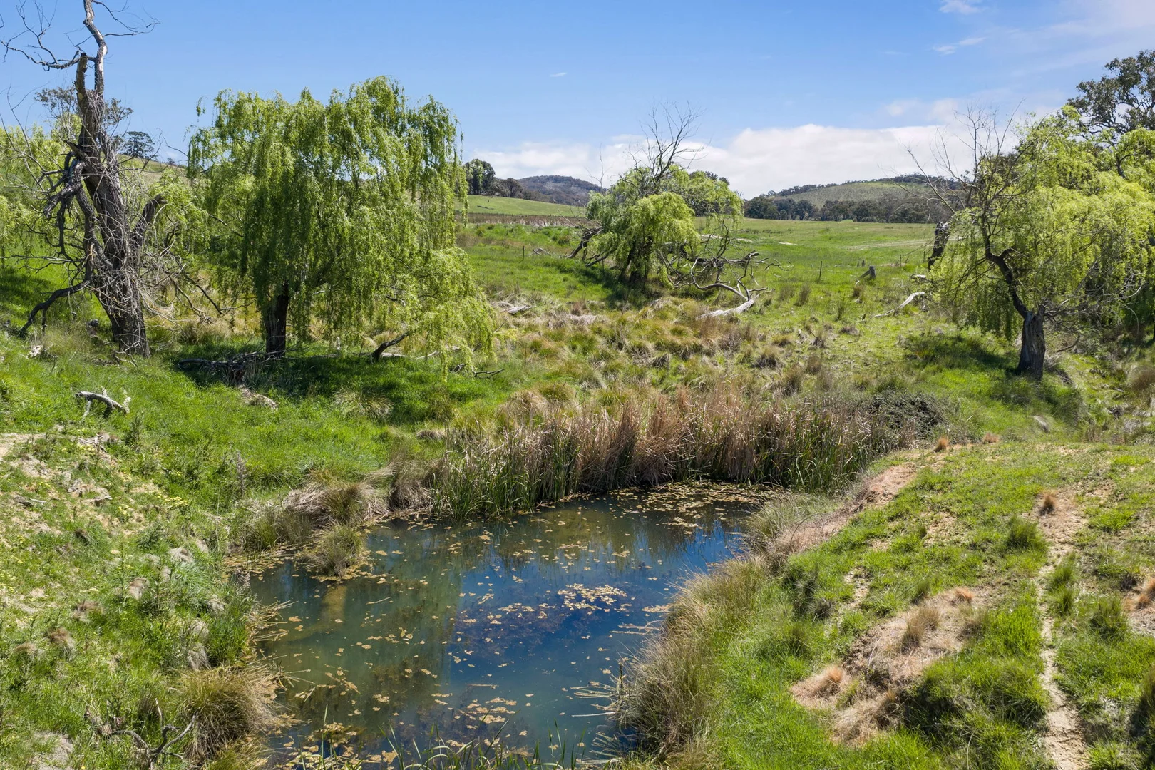 Additional image 15 of "Wattle Grove "1649 Coolalie Road, Yass NSW 2582