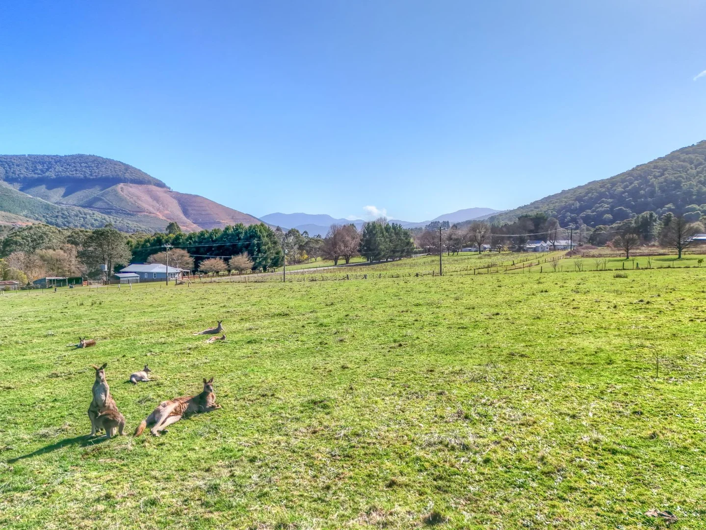 Additional image 5 of Lot 3 Mitchells Lane, Wandiligong VIC 3744