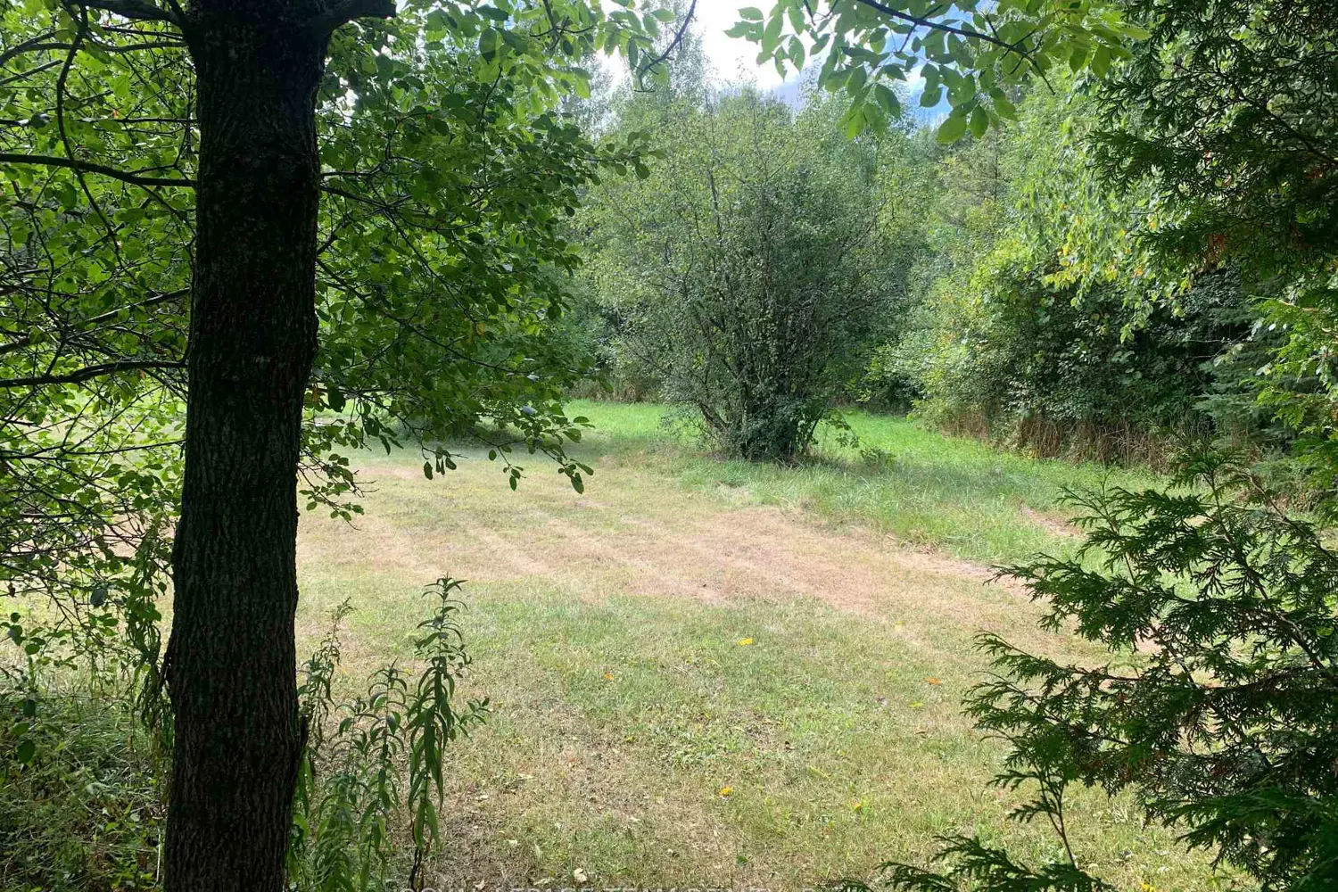 Additional image 6 of 227 Ireland Road