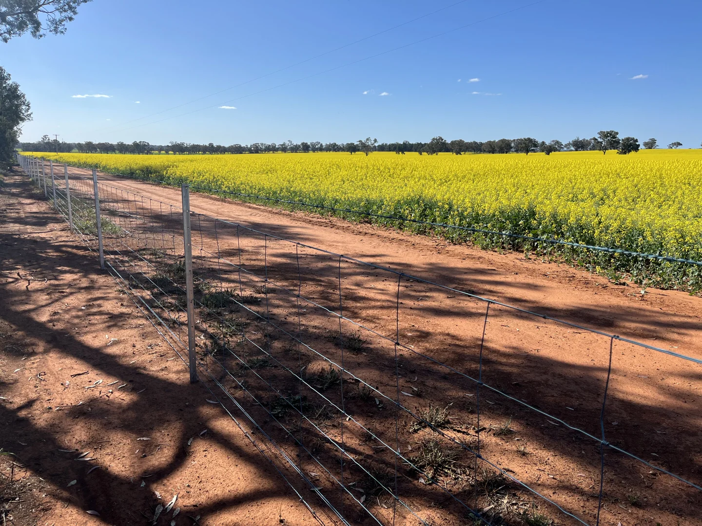 Additional image 9 of 2 Coolamon Road, Coolamon NSW 2701