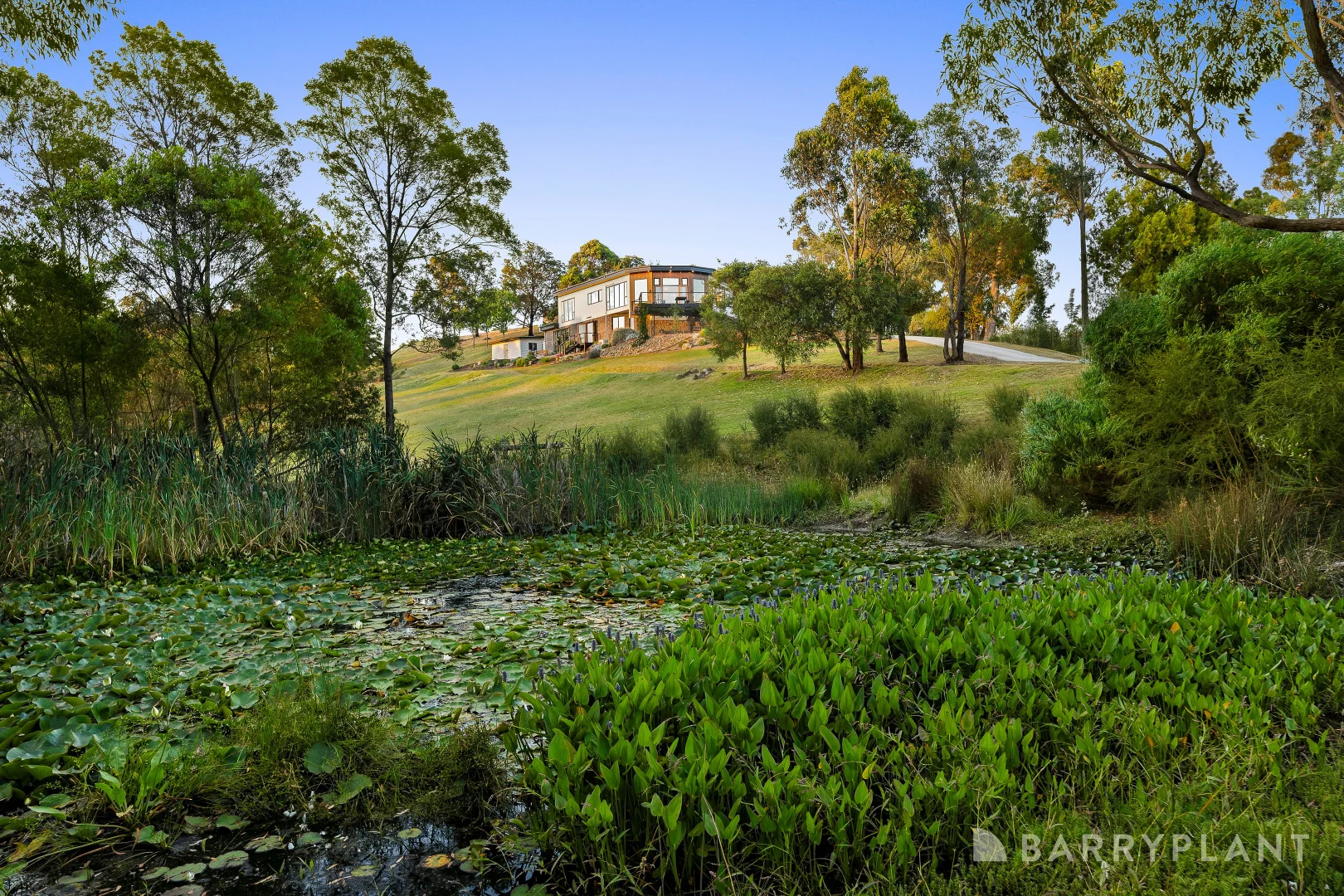 Additional image 25 of 1251 Skyline Road, Christmas Hills VIC 3775