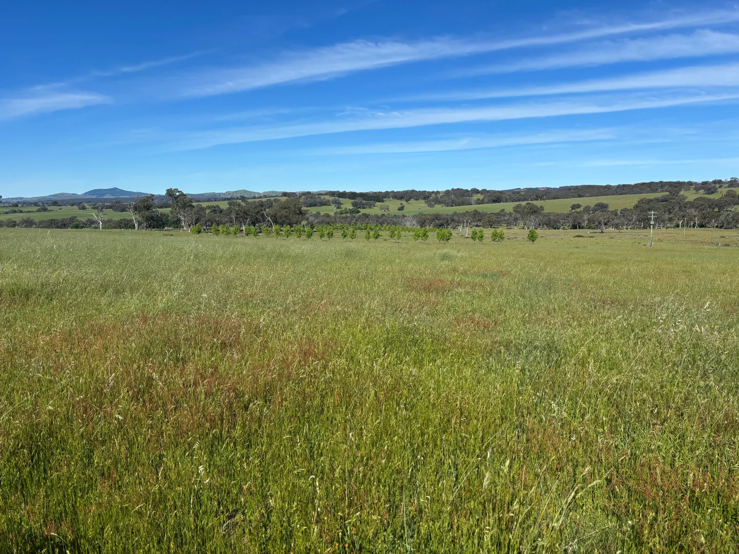 Additional image 20 of 1050 Garland Road, Garland NSW 2797