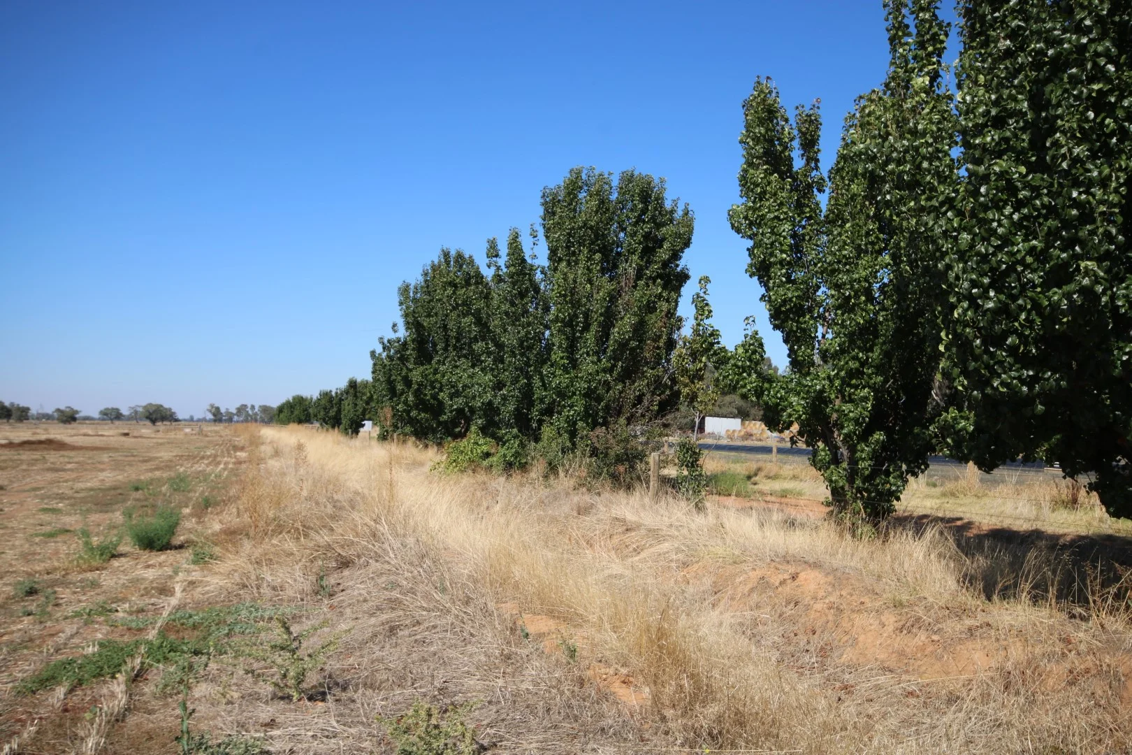 Additional image 4 of 1670 Whinfield Road, Kotta VIC 3565