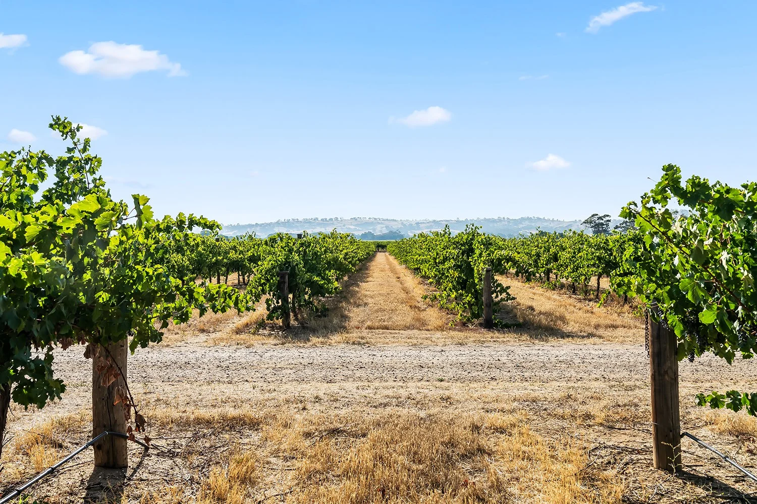 Additional image 20 of 14 Vine Vale Road, Tanunda SA 5352