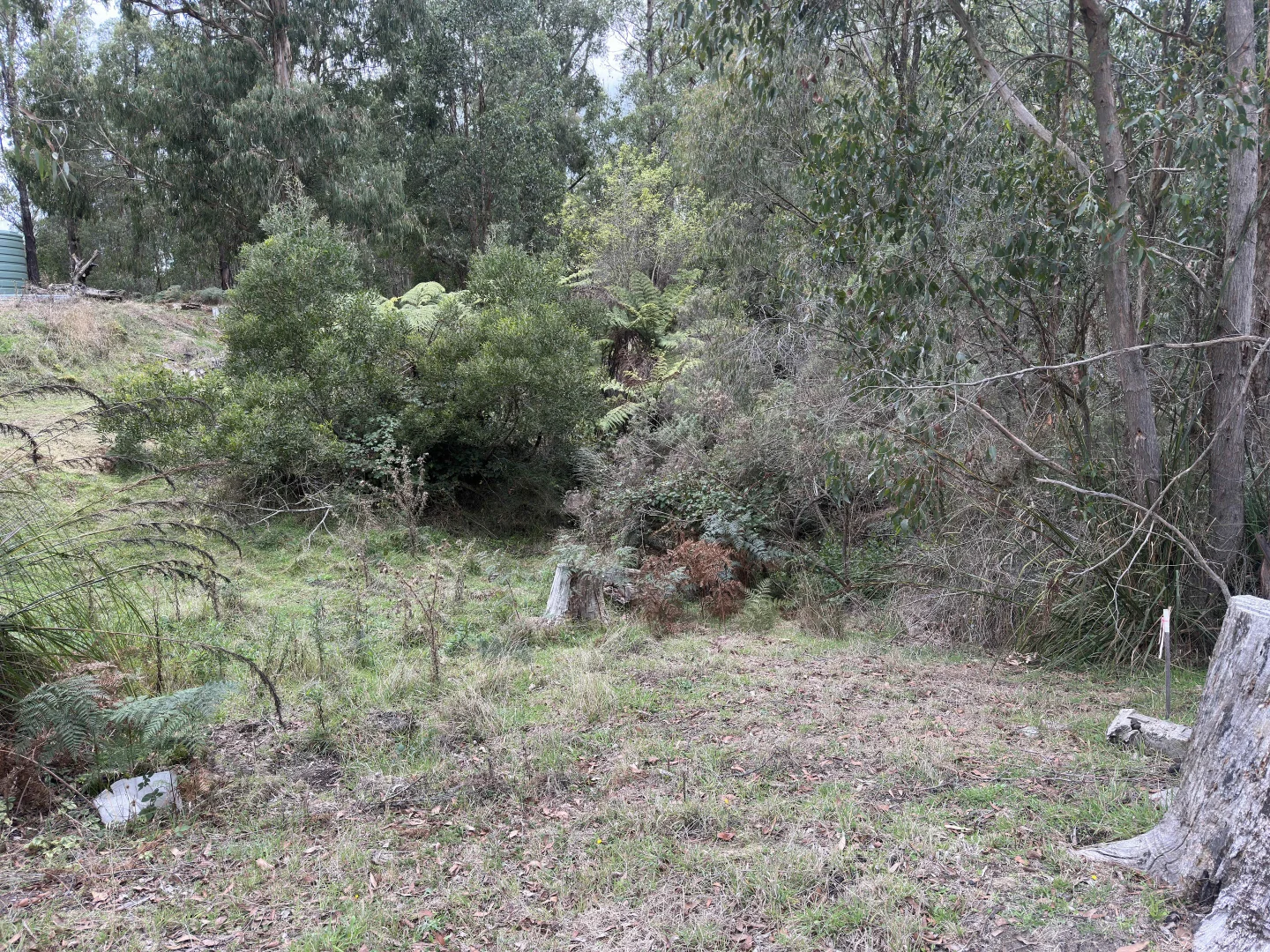 Additional image 14 of 299 National Park Road, Kinglake West VIC 3757