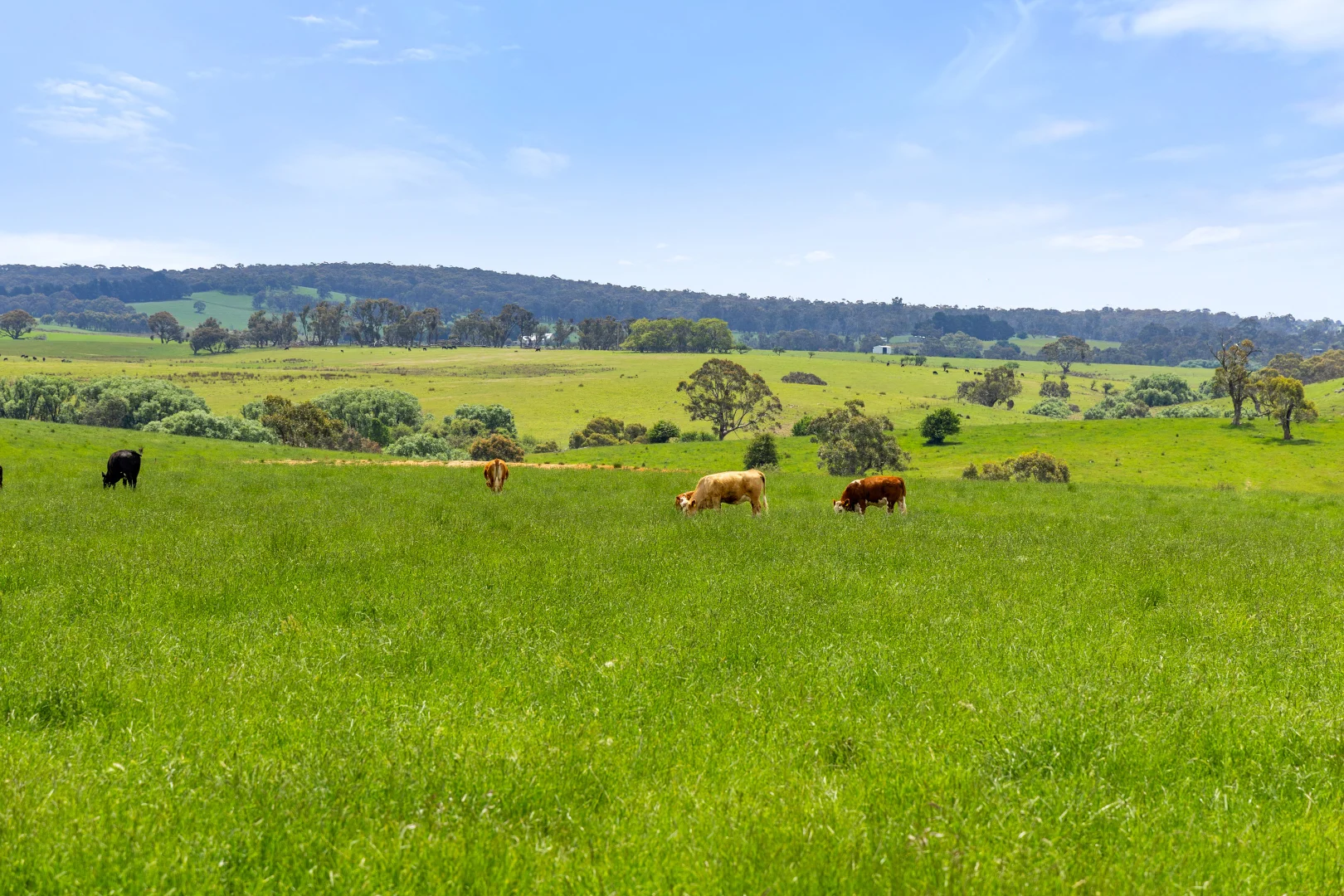 Additional image 51 of 192 Dawsons Creek Road Bannister Via, Crookwell NSW 2583