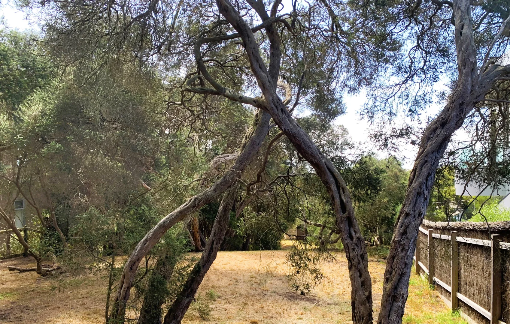 Additional image 8 of 7 Jaanda Court, Blairgowrie VIC 3942