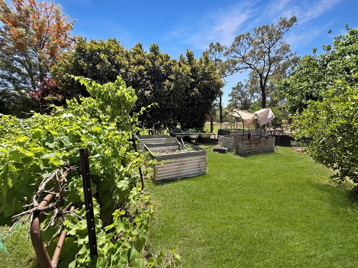 Additional image 17 of 121 Tuppiari Road, Narrabri NSW 2390