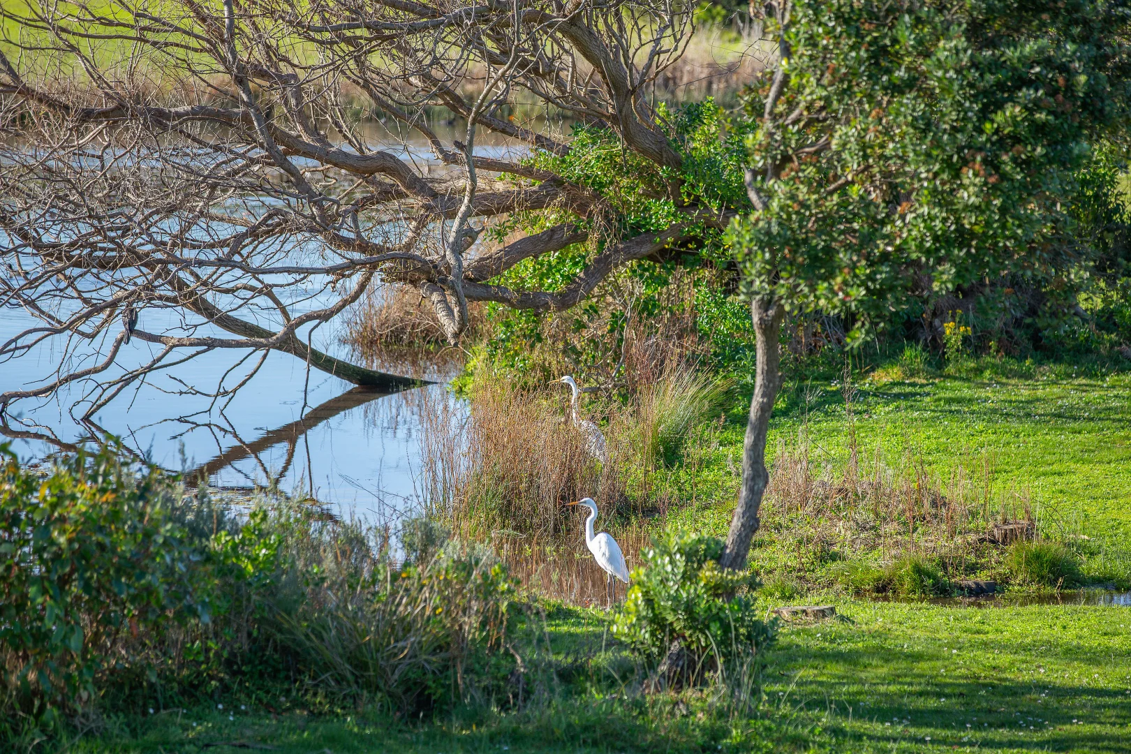 Additional image 21 of 5/2-6 Great Ocean Road, Marengo VIC 3233