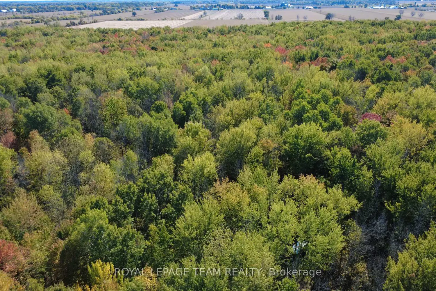 Additional image 8 of 10586 Seibert Road