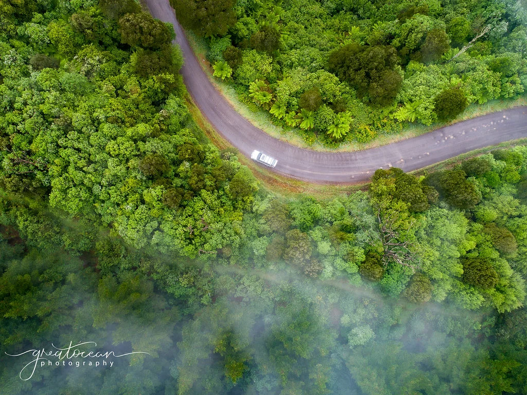 Additional image 9 of 19A, B & C Lavers Hill-Cobden Road, Lavers Hill VIC 3238