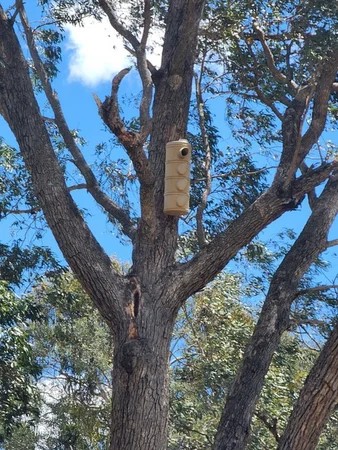 Additional image 30 of 3641 Frogmore Road, Hovells Creek NSW 2794