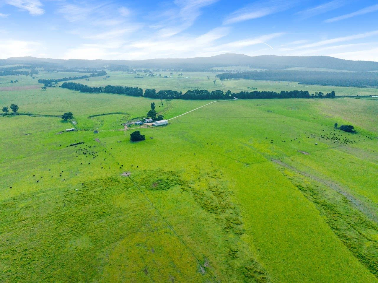Additional image 9 of 393 & 428 Sandy Flat Road, Brodribb River VIC 3888