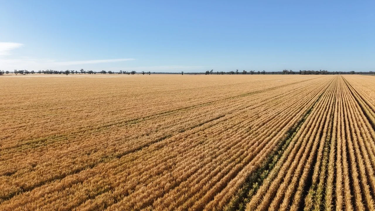 Additional image 4 of 128 Berida-Bullagreen Road, Collie NSW 2827