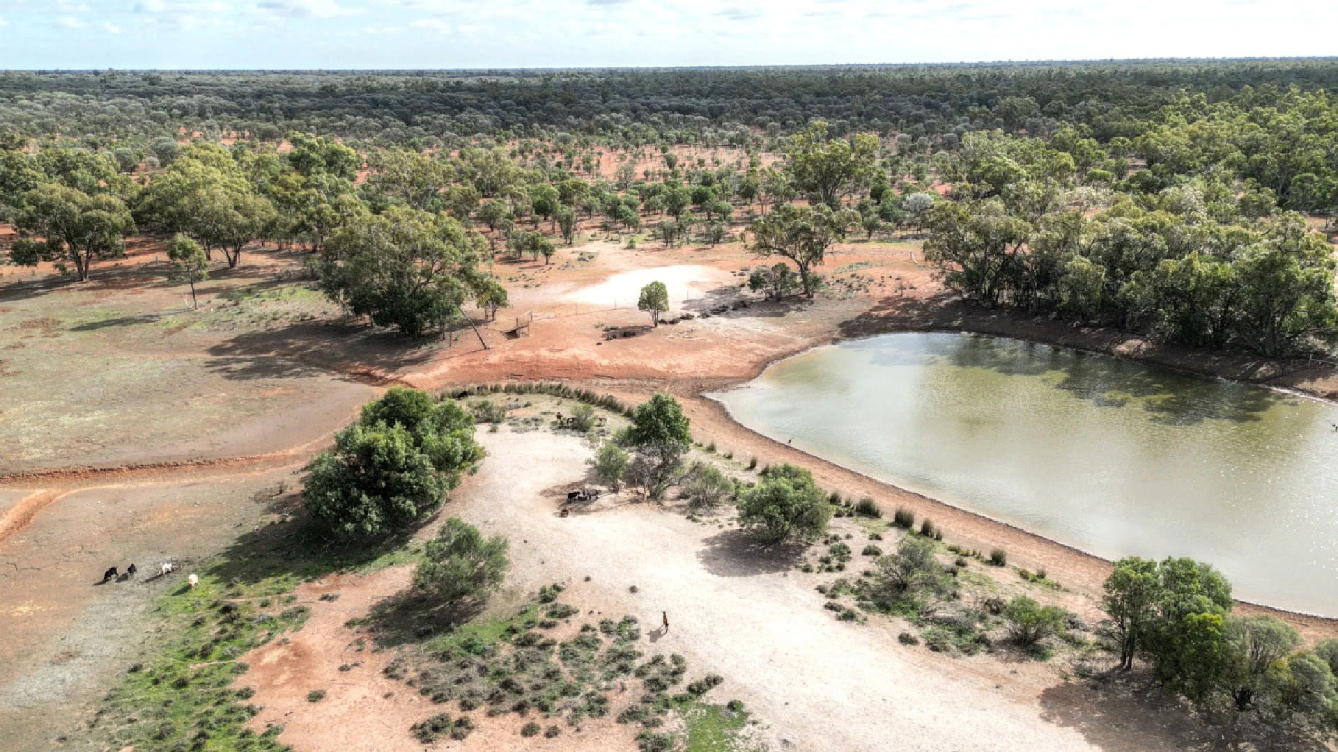 Additional image 11 of "Nardoo" Station 872 Davidson Road, Gunderbooka NSW 2840