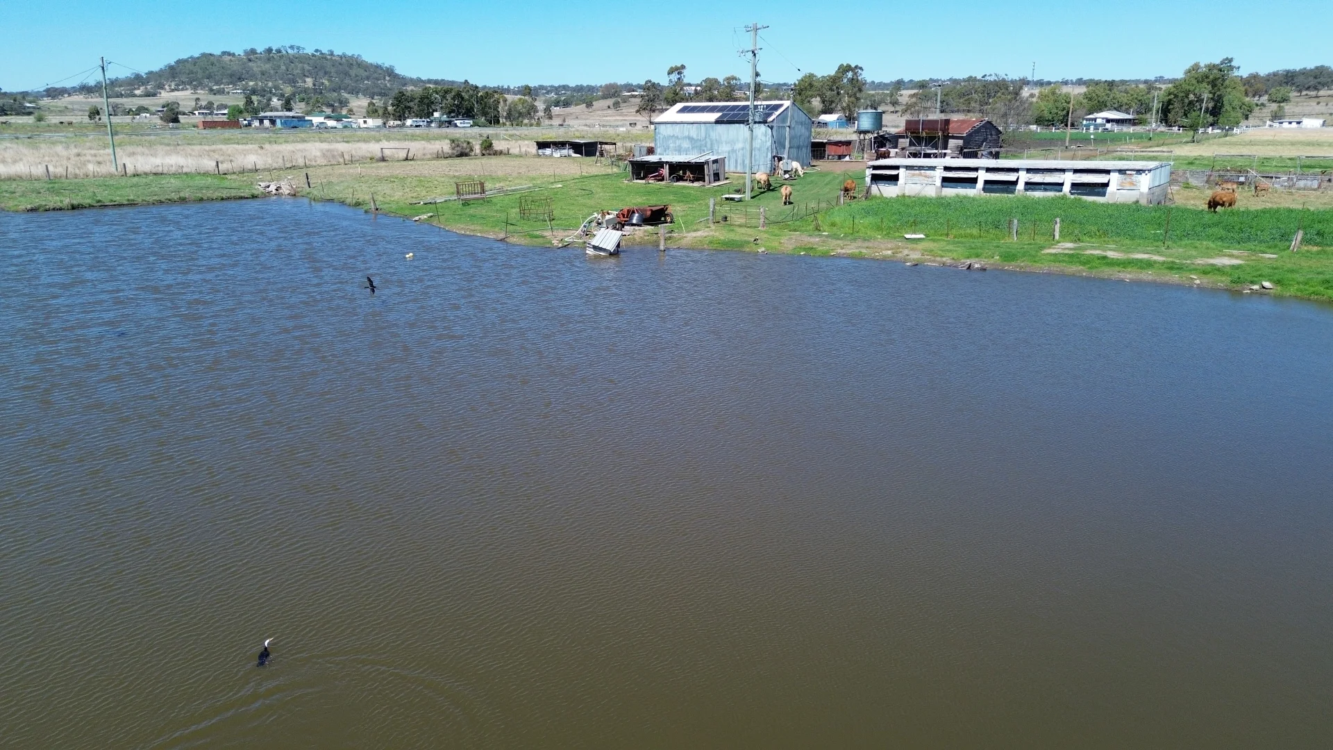 Additional image 13 of 122 Paulsens Road, Gowrie Junction QLD 4352