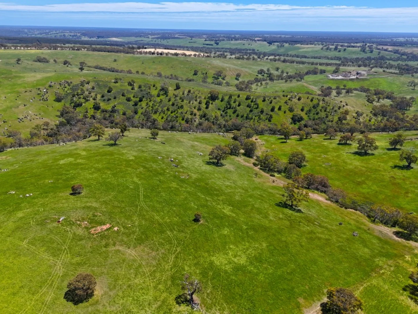 Additional image 21 of 3593 Nareen Road, Culla VIC 3315