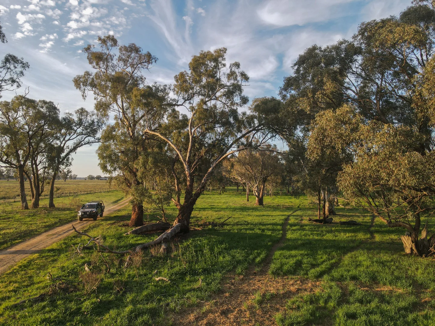 Additional image 10 of 11025 "Lima" The Escort Way, Forbes NSW 2871