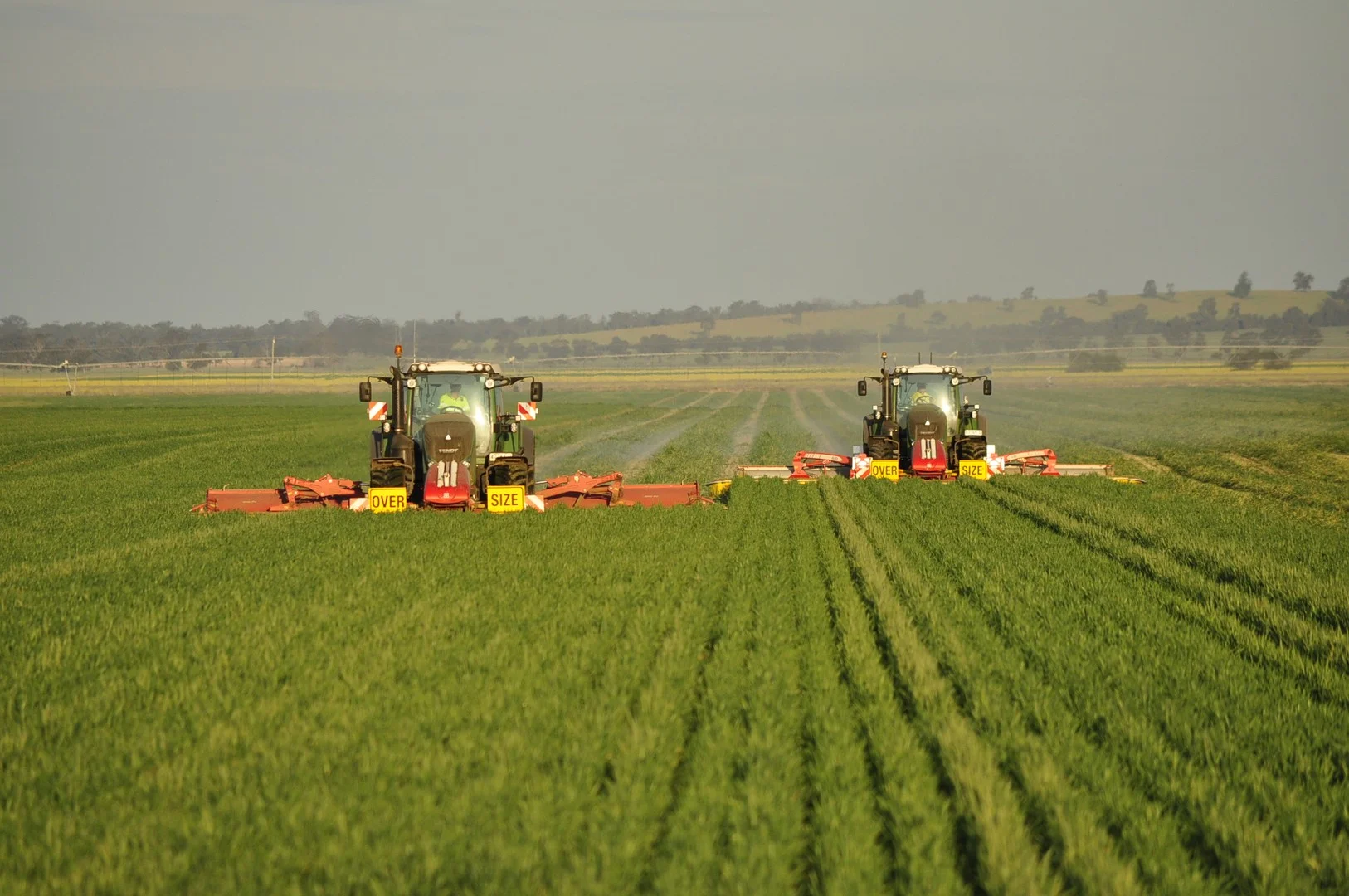 1 Henry Lawson Way, Forbes NSW 2871