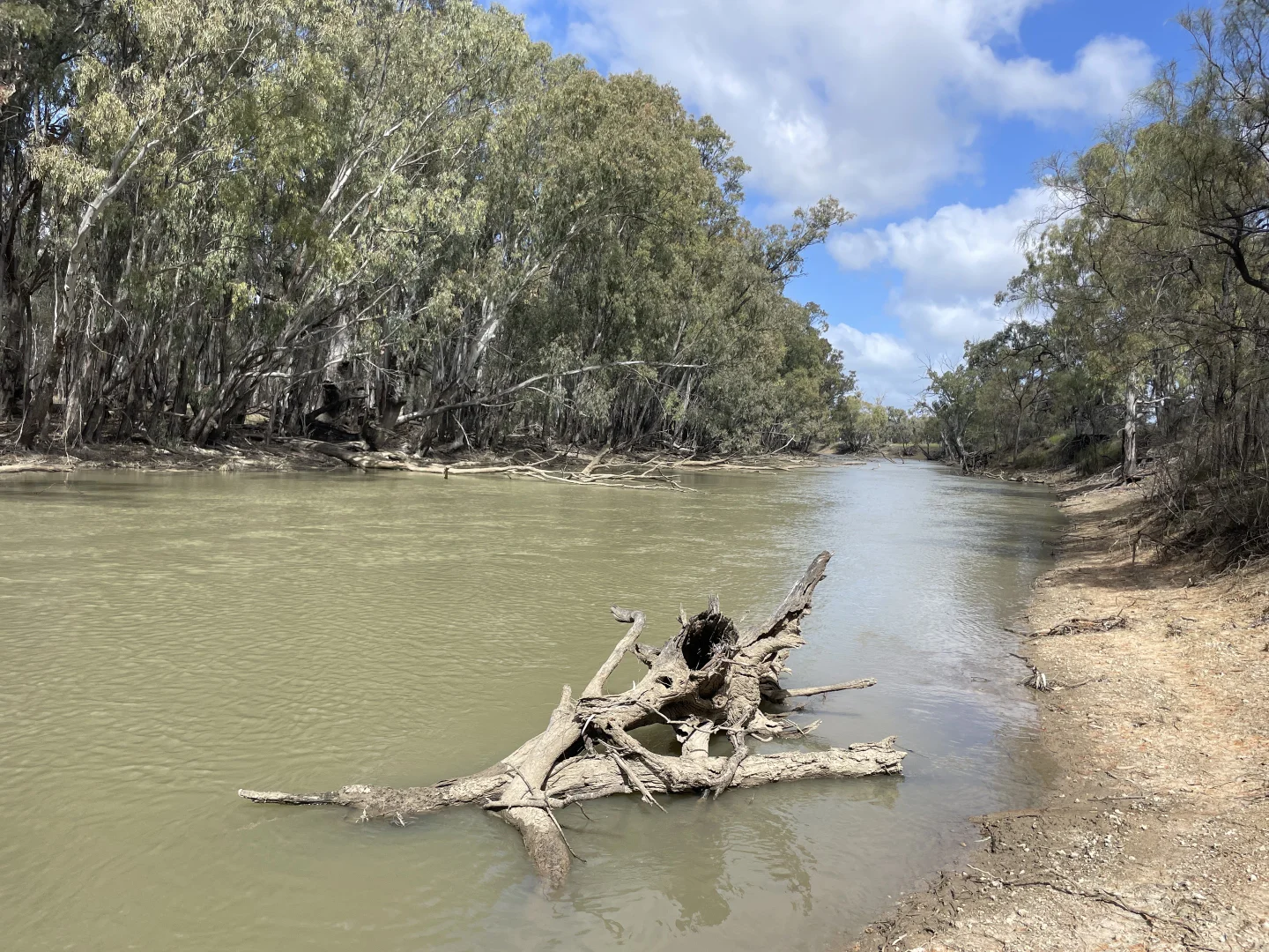 Additional image 3 of 'Fishers' 174 Balranald Road, Moulamein NSW 2733