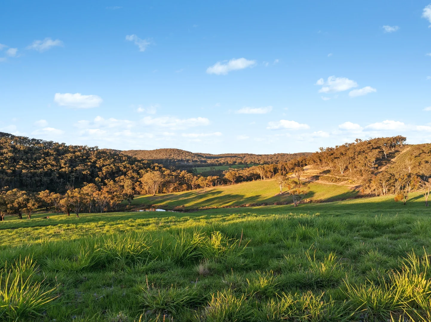 Additional image 7 of 358 Belgravia Road, Orange NSW 2800